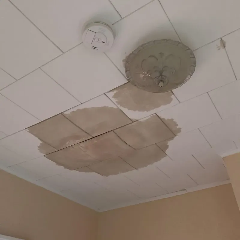 Ceiling Water Damage Repair in Dupree, SD