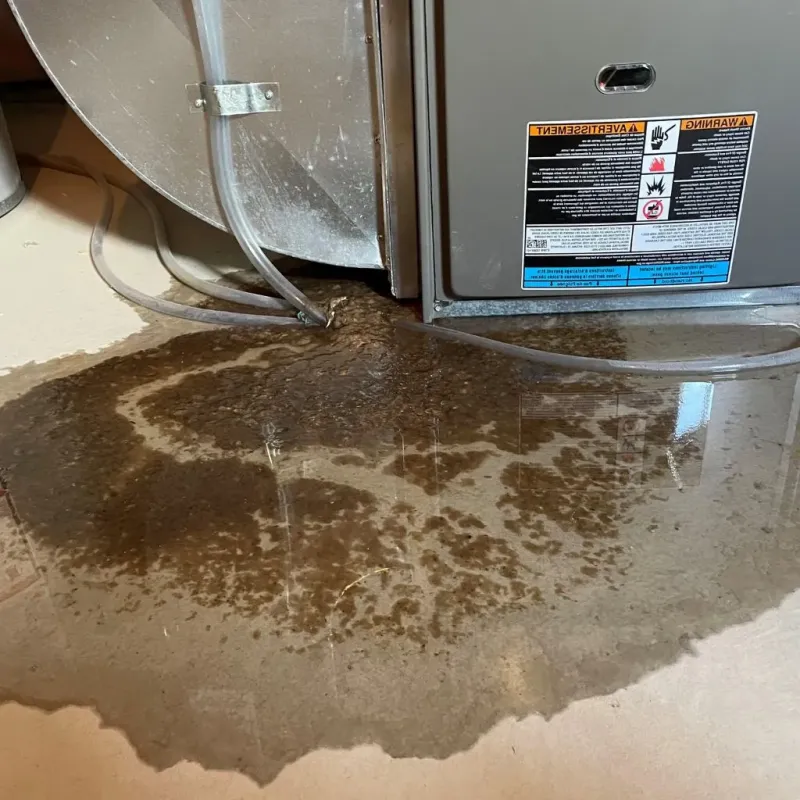 Pipe Burst and Leak Restoration in Dupree, SD