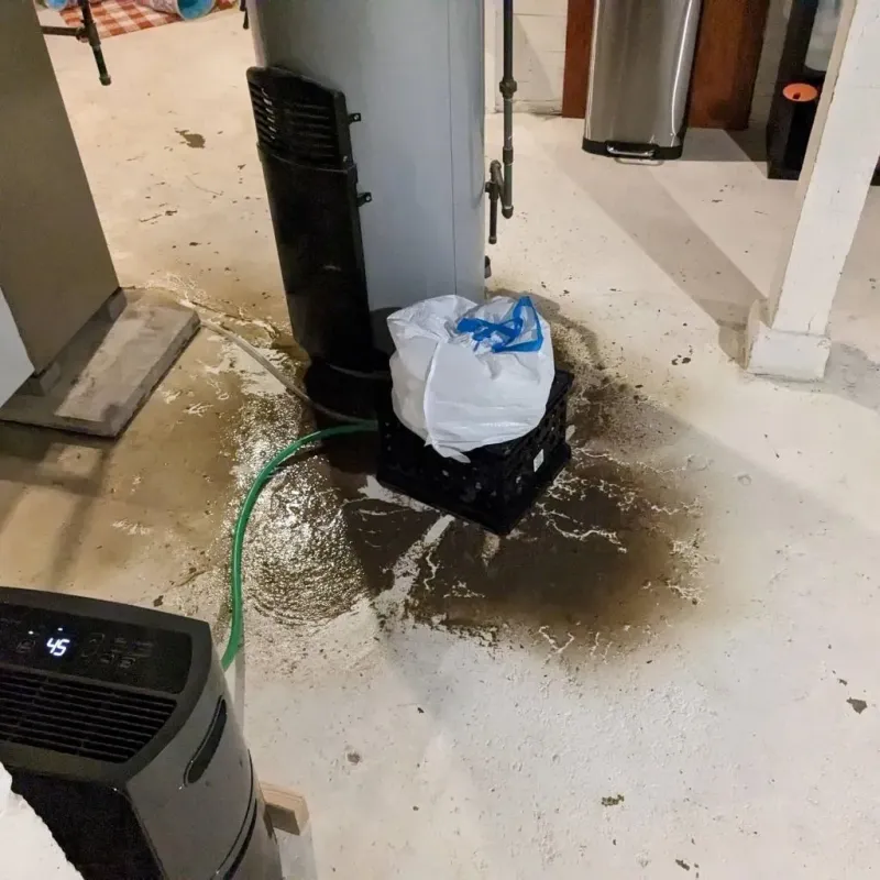 Sewage Backup Cleanup Service in Dupree, SD